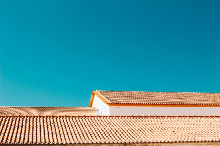 pexels-joaojesusdesign-925684